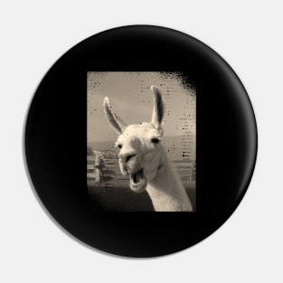 Funny vintage Love llama alpaca photo Pin