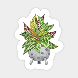 Croton plant Magnet