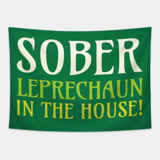 Sober Leprechaun In The House Tapestry
