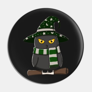 Black Owl In Witch Costume Pin