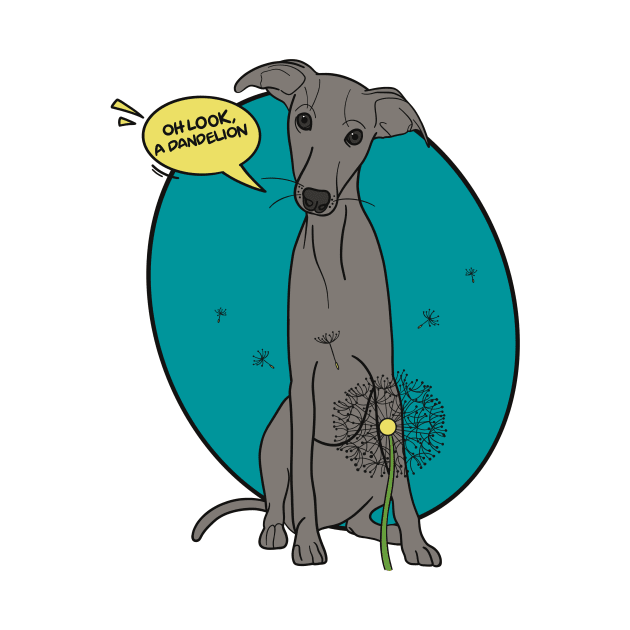 Funny greyhound design; Grey Italian greyhound with a dandelion flower by This Iggy Life