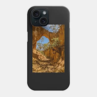 Golden Gully Arch Phone Case