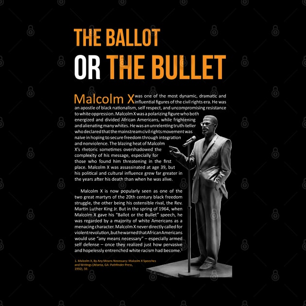 The Ballot or The Bullet by ZUNAIRA