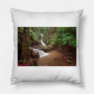Double waterfall in the rainforest in Hawaii Pillow