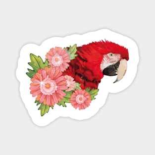 Aliverde Macaw Magnet