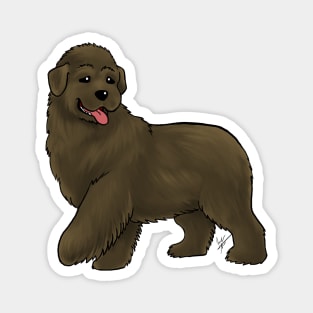 Dog - Newfoundland - Brown Magnet