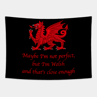 Maybe I'm not Perfect, but I'm Welsh..... Tapestry