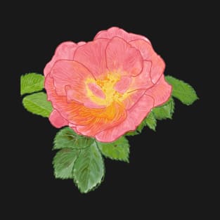 Pink Rose Botanical Drawing T-Shirt