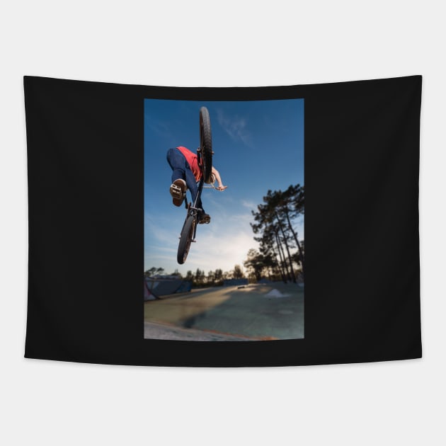 High BMX jump Tapestry by homydesign