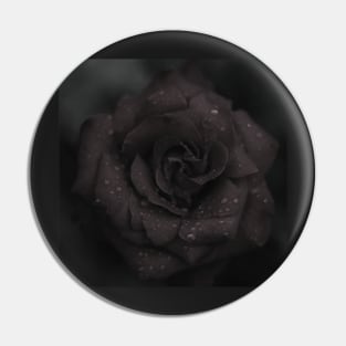 Black Rose Pin