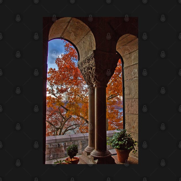USA. New York. The Cloisters. by vadim19