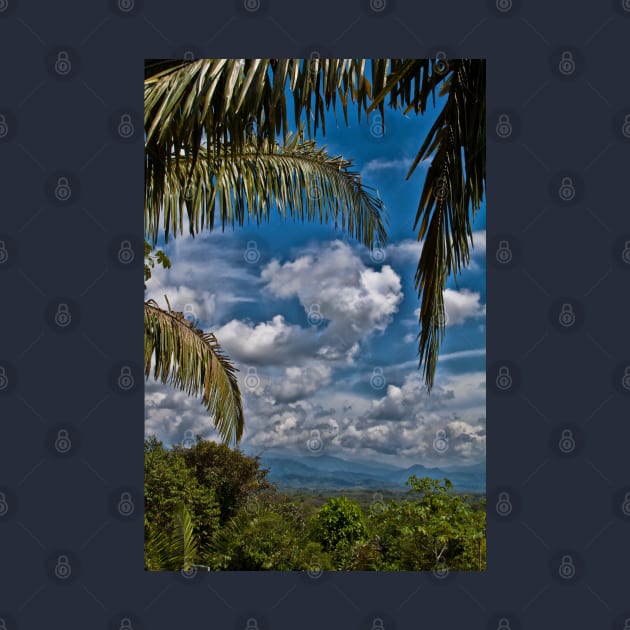 Costa Rica. Manuel Antonio National Park. by vadim19