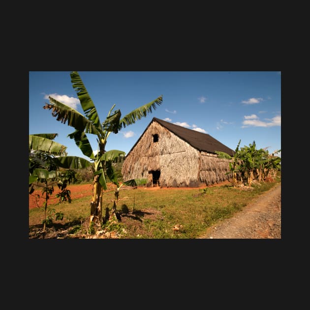 Tobacco house near Vinales in Cuba by Offiinhoki