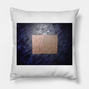 300 Pennies Pillow