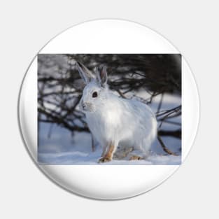 Snowshoe hare Pin