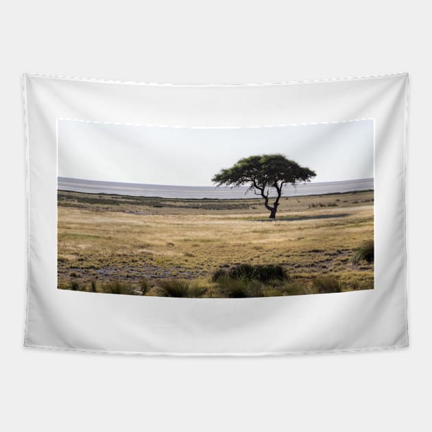 Acacia tree. Tapestry by sma1050