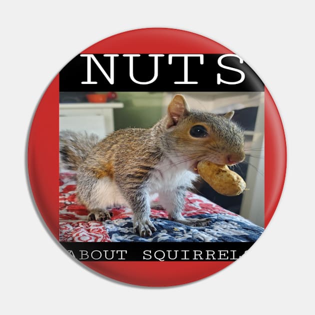 NUTS ABOUT SQUIRRELS Pin by BubblesTheSquirrel