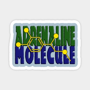 Adrenaline Molecule Magnet