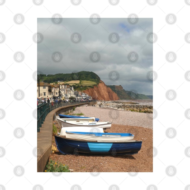 Sidmouth, Devon by Chris Petty