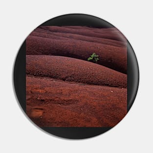 Red landscape Pin