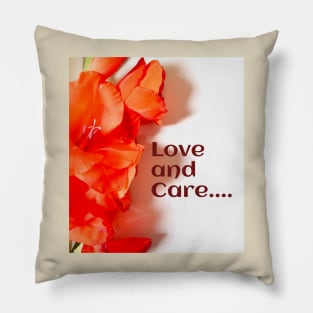 Love and care Pillow