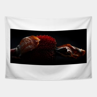 Canna Seed Pod Tapestry