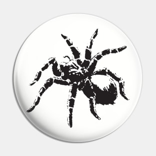 Spider - Tarantula illustration Pin