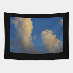 Angelic Clouds Tapestry