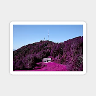 Uetliberg Zurich / Swiss Artwork Photography Magnet