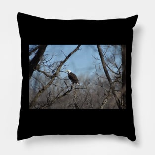 Bald Eagle Pillow