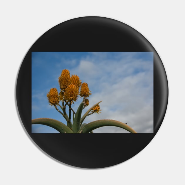 Orange Cactus Pin by randymir