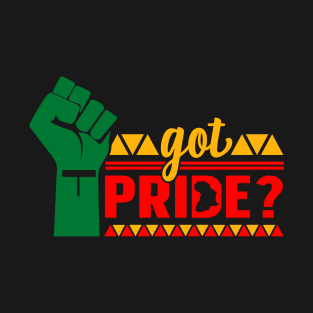 Got Pride Black History Black Pride African American T-Shirt