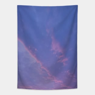 Pink Winter Sky Tapestry