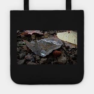 Rain Filled Leaf Tote