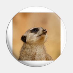 Meerkat 011 Pin