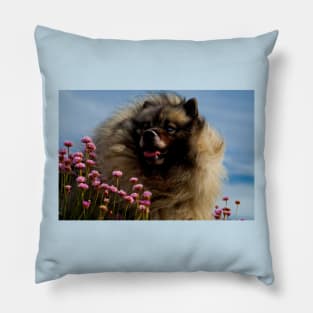 Keeshond and Sea Thrift Pillow