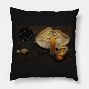 Flammulina velutipes (velvet foot mushroom) Pillow