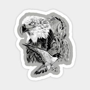 Eagle hawk and owl Magnet