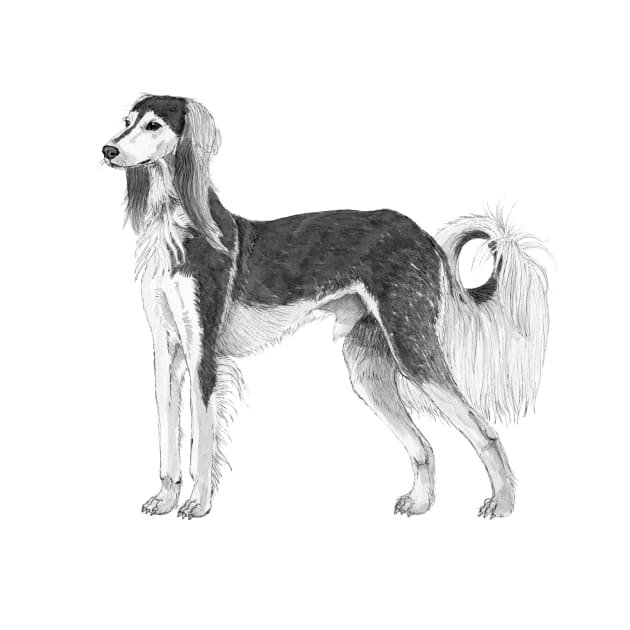 Saluki by doggyshop