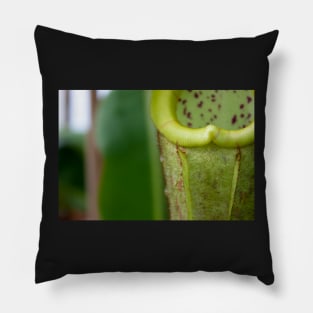 Beautiful carnivorous plant Pillow