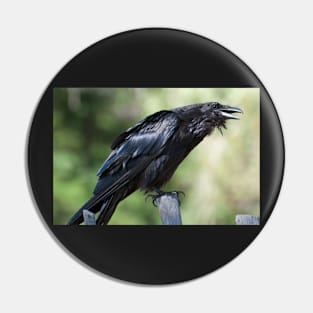Crow Pin