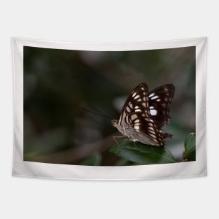 Butterfly Tapestry