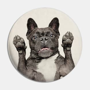 French Bulldog - Eye Voodoo Pin