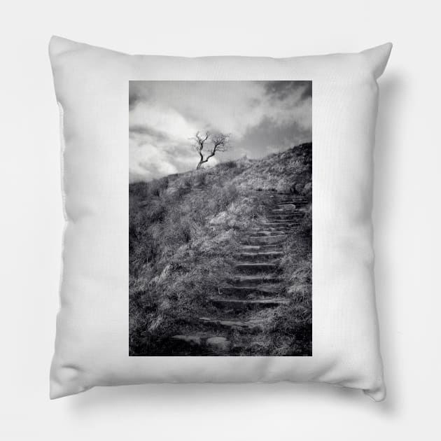 Steps Pillow by rosedew