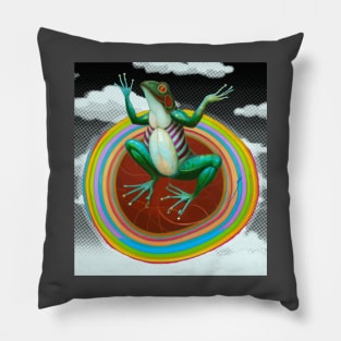 Rainbow Frog Pillow