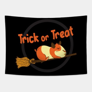 Hamster On Broom Trick Or Treat Tapestry