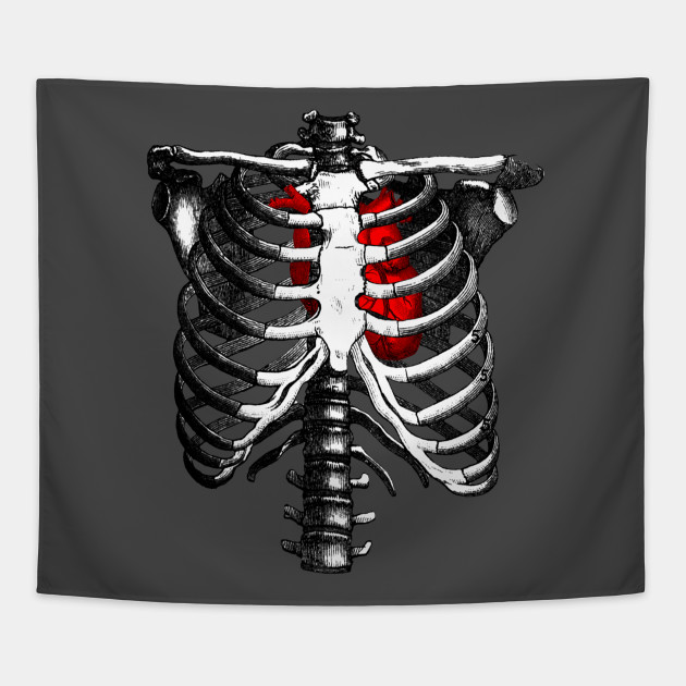 Ribcage Skeleton Red Heart Anatomy Skeleton Rib Cage Tapestry Teepublic