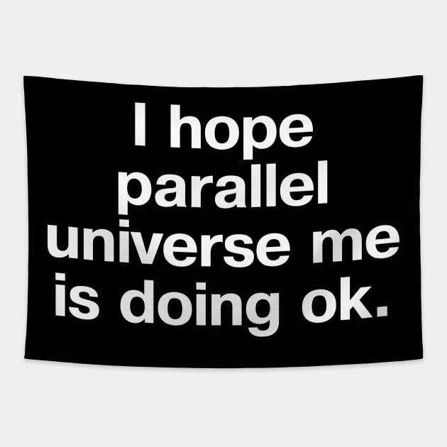I hope parallel universe me is doing ok. Tapestry by TheBestWords
