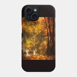 Natural landscape in autumn Phone Case