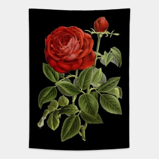 Red Rose Flower Vintage Botanical Illustration Tapestry